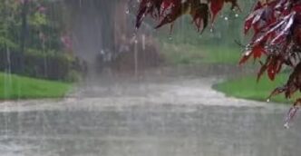 IMD issues orange alert for heavy rain in western Assam