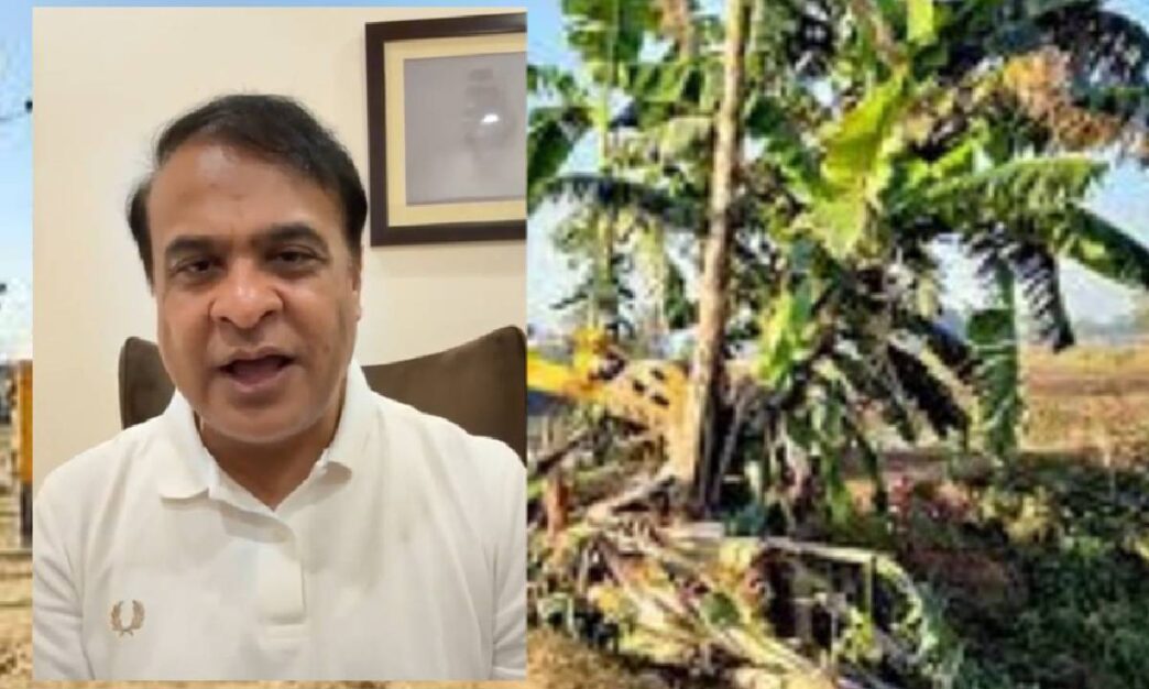 Will the eviction of 1,000 bighas in Dahikata forest really help the people?