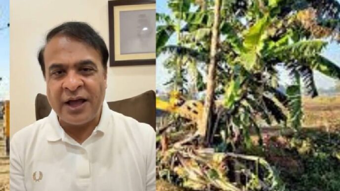 Will the eviction of 1,000 bighas in Dahikata forest really help the people?