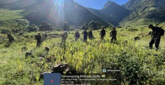 Massive poppy fields cleared by security forces in Manipur's Kangpokpi