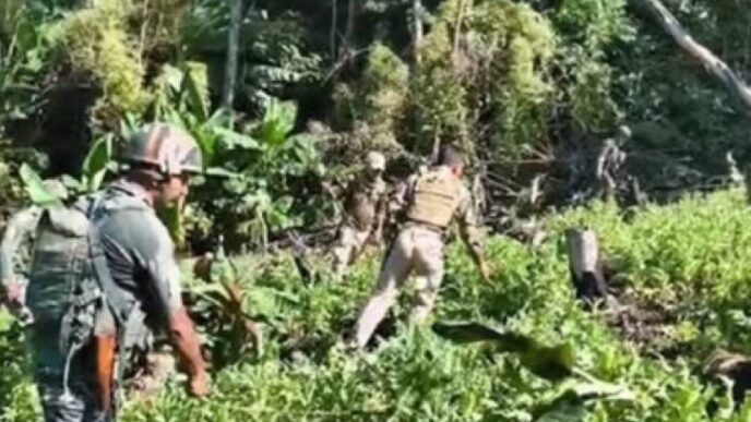 Five acres of illegal poppy cultivation destroyed in Manipur’s Kangpokpi district