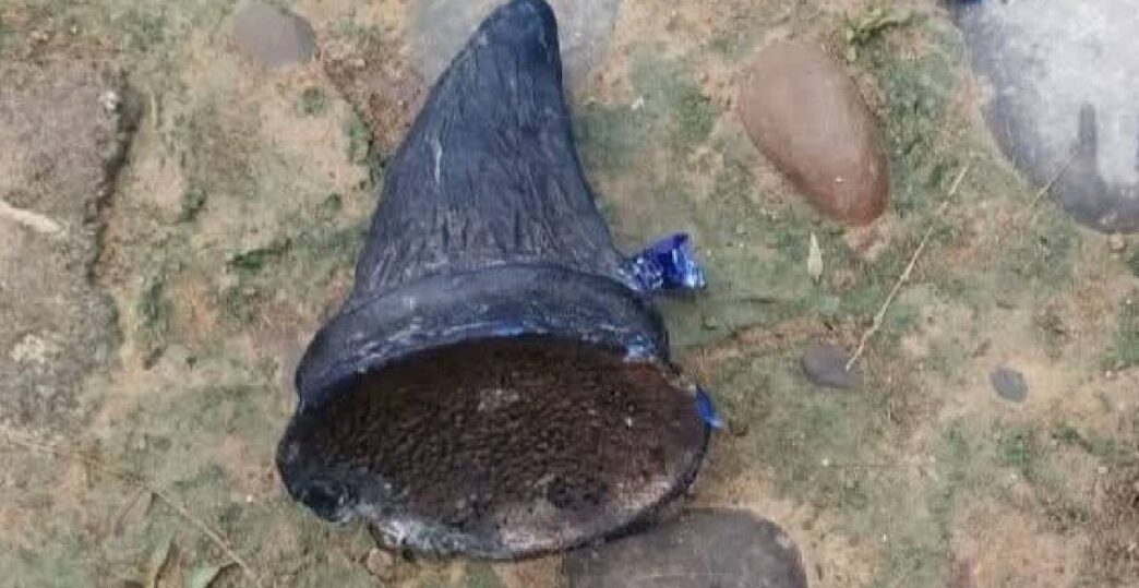Rhino horn seized in Golaghat border village; one arrested
