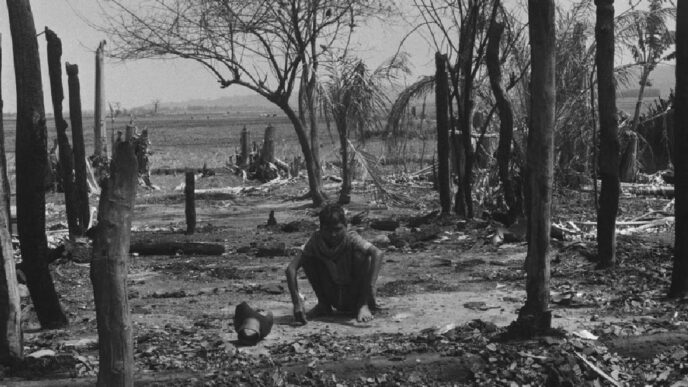 Assam's forgotten bloodshed: Tewary Commission report emerges from the shadows after 42 years