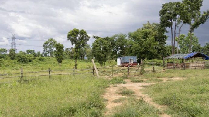 Sarma govt rolls out sweeping reforms; new tribunal to safeguard tribal land in Assam