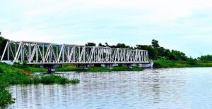 Deepor Beel to lose over 100 trees as railways plan elevated bridge to protect elephants