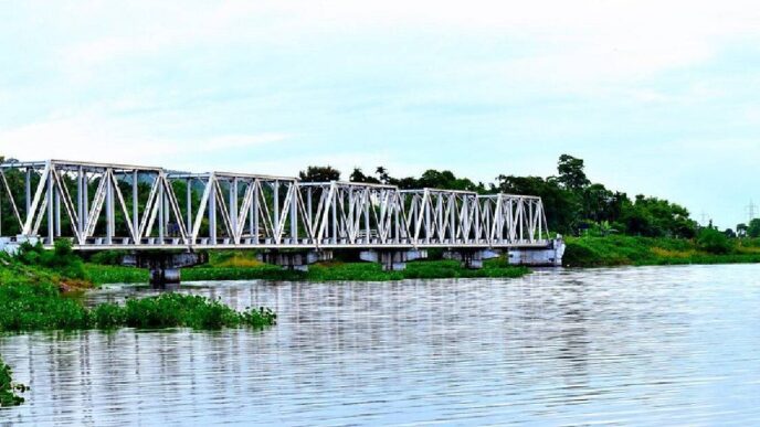 Deepor Beel to lose over 100 trees as railways plan elevated bridge to protect elephants