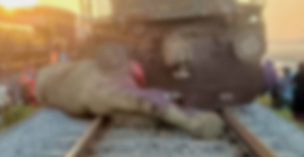 Seven wild elephants killed as Rajdhani Express derails in Assam; no passenger hurt