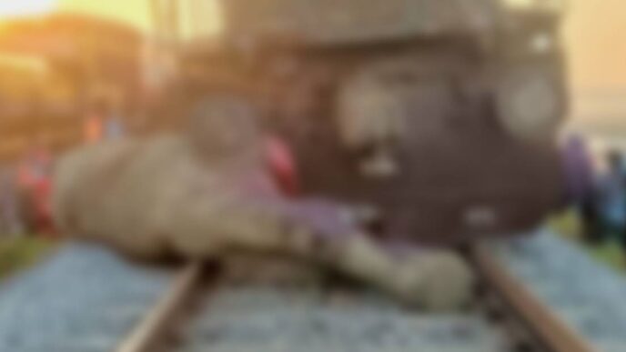 Seven wild elephants killed as Rajdhani Express derails in Assam; no passenger hurt