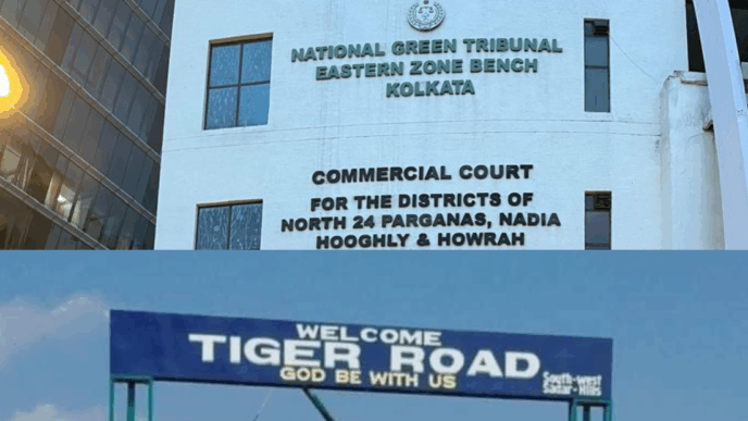 Environmental alarm: NGT stops Manipur ring road project until next hearing