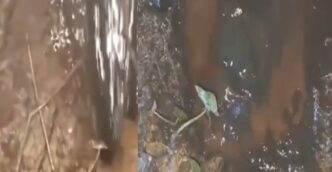 Massive crude spill in Dibrugarh after Oil India pipeline burst, villagers alarmed