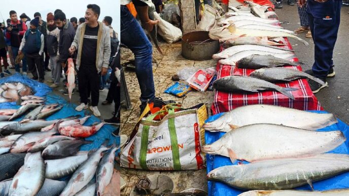 Uruka rush grips Assam, fish markets witness unprecedented crowds