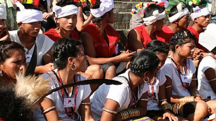 Thadou bodies demand halt to Manipur census until ‘Any Kuki Tribes’ entry is removed