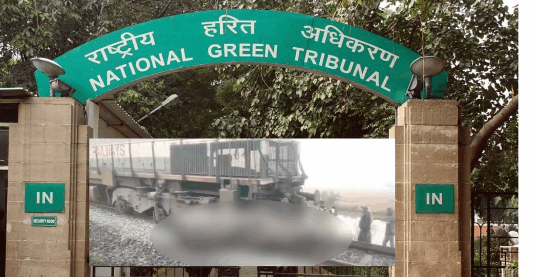 NGT demands replies after seven elephants killed in Rajdhani Express accident near Guwahati
